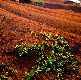 《战地6》主机版分辨率公开 PS5 Pro支持4K＆60帧