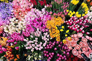 《勇者斗恶龙11》重新上架Switch欧美服 售价永降